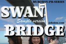 SWAN Bridge--Sample version